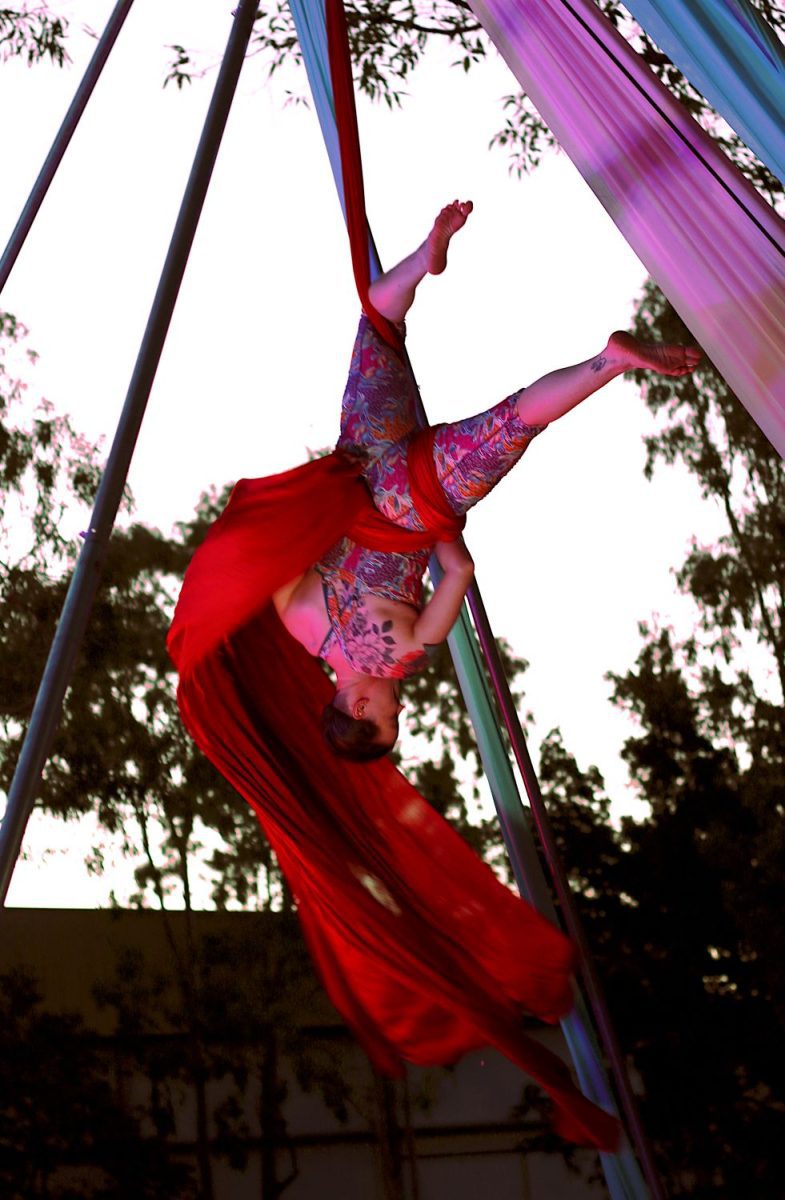 Minutia: Circus Stories in Nature