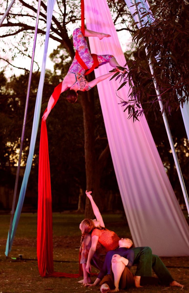 Minutia: Circus Stories in Nature